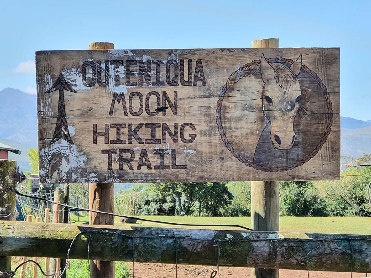 Outeniqua Moon Percheron Stud Farm Ruiterbos 외부 사진