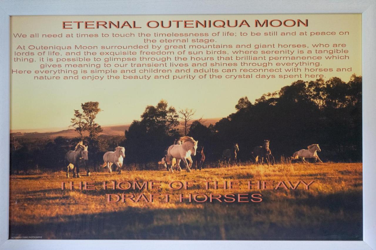 Outeniqua Moon Percheron Stud Farm Ruiterbos 외부 사진